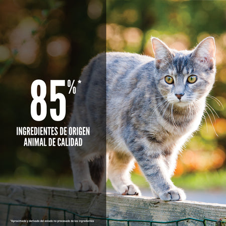 Orijen Original Cat 5.4kg - Alimento Seco para Gatos